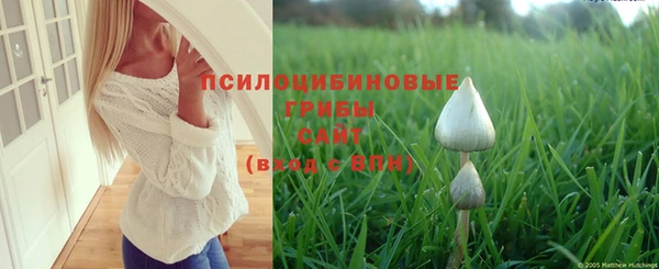 а пвп мука Баксан